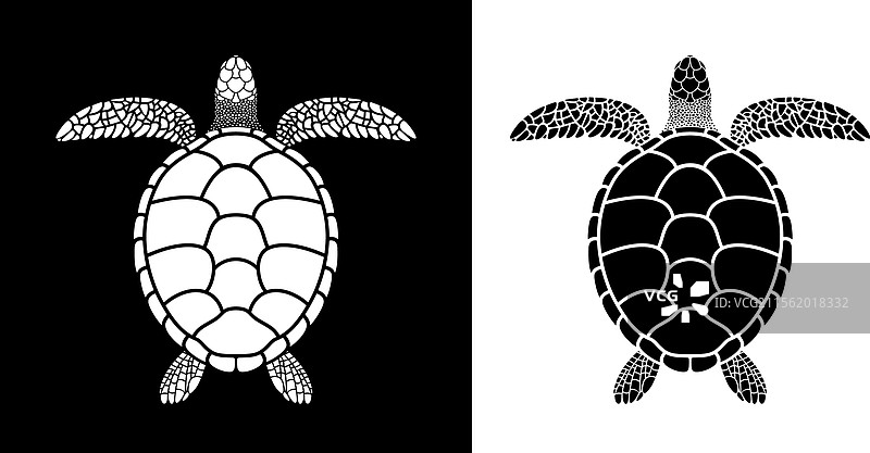 海龟图片素材