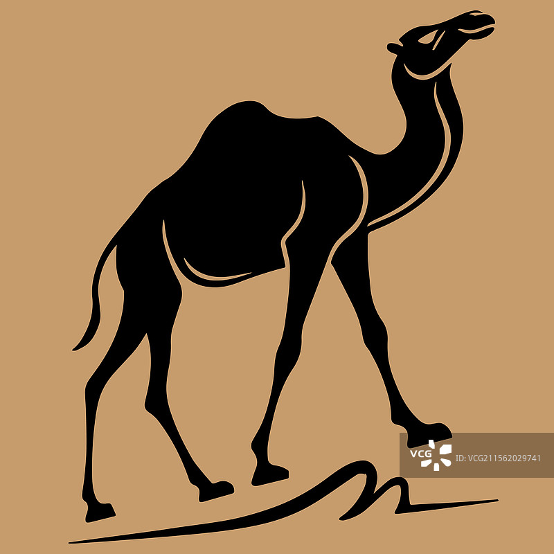 骆驼的剪影图片素材