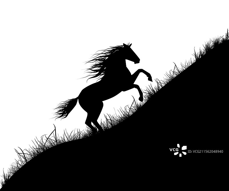 马在山坡上奔跑的剪影图片素材