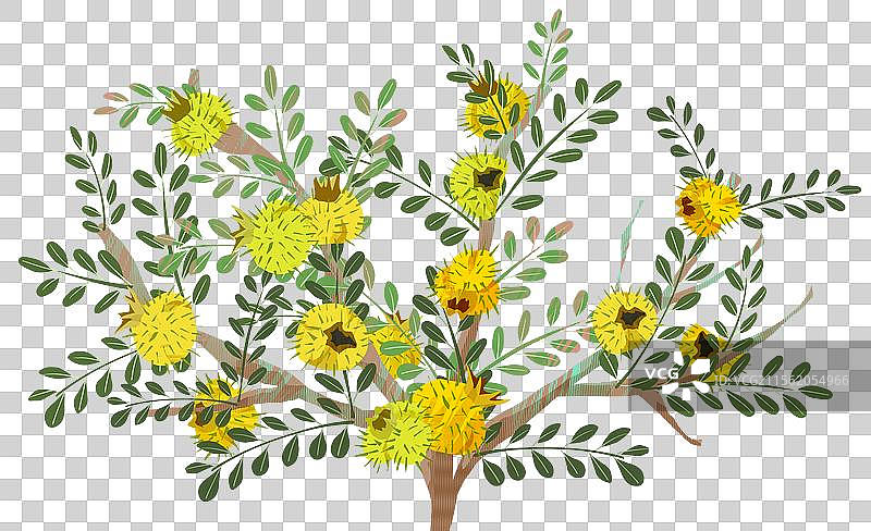 水果刺梨树插画元素图片素材