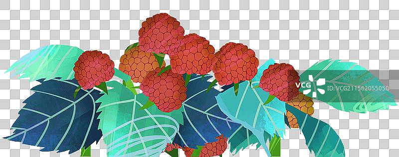 水果覆盆子插画元素图片素材