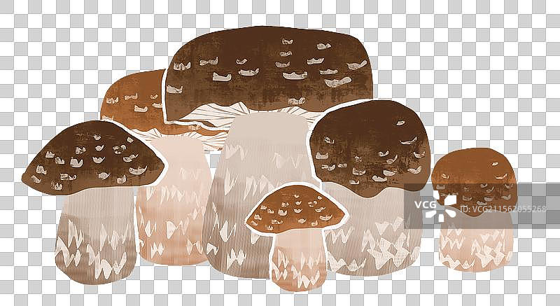 蘑菇插画元素图片素材
