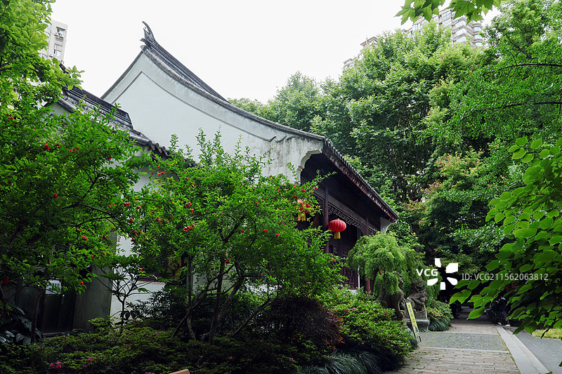 上海夏天的“蓬莱公园”风光图片素材