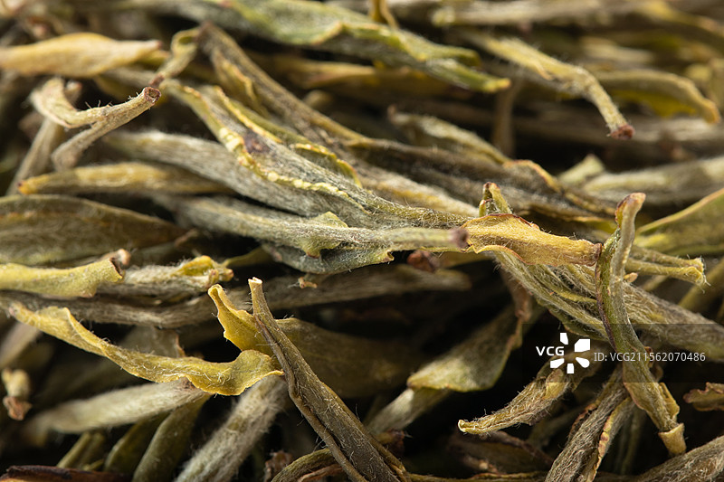 安徽六安市金寨黄芽茶叶黄茶图片素材