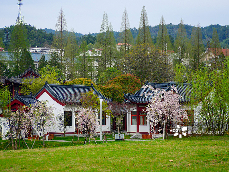 茨坪镇挹翠湖图片素材