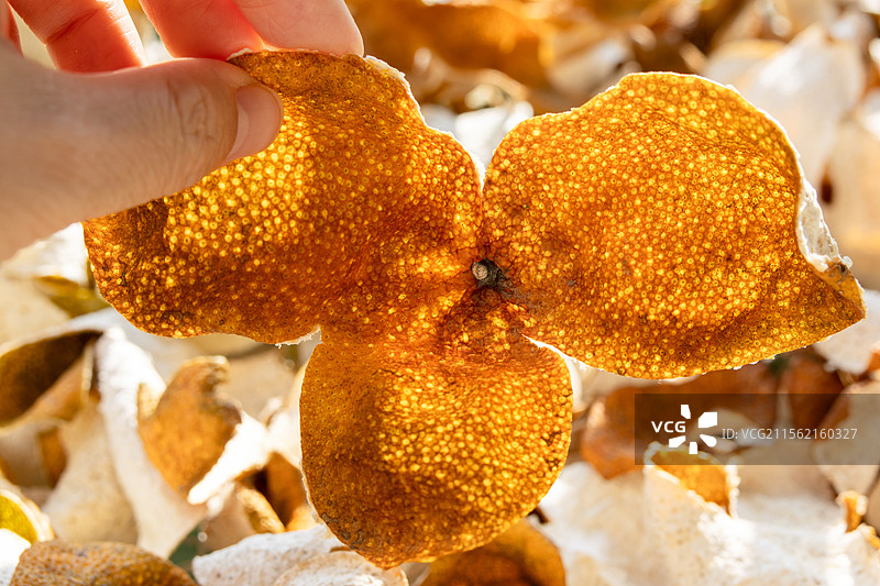 广东江门新会陈皮图片素材