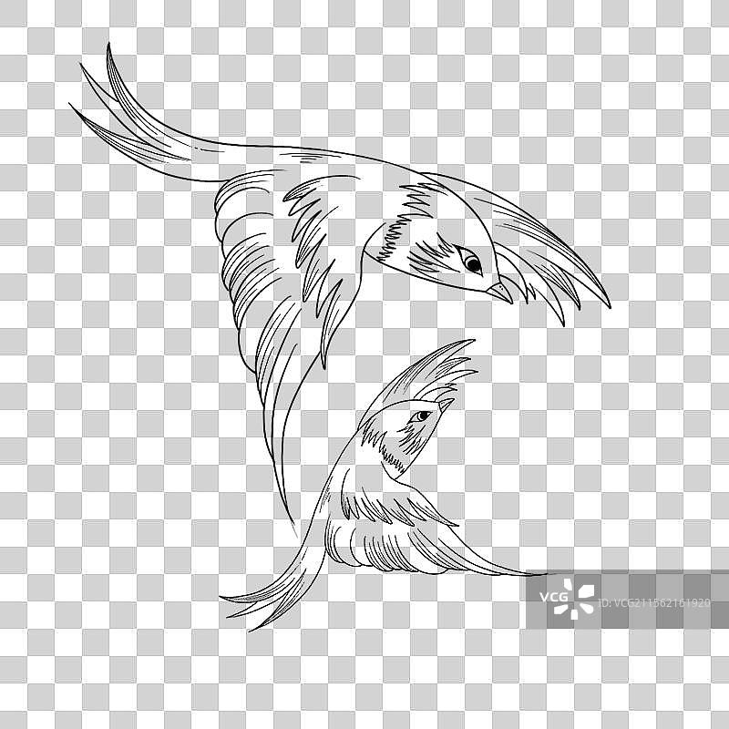 卡通手绘动物鸟图片素材