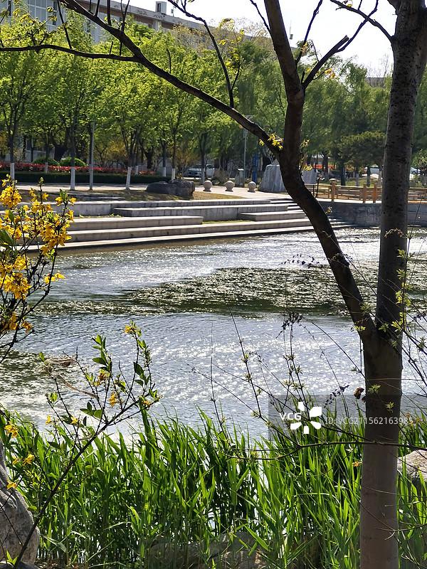 清新春日图片素材