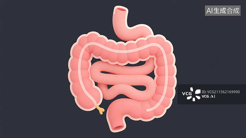 【AI数字艺术】消化系统肠胃益生菌卡通插画图片素材