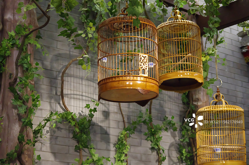 挂在室内鸟笼的低角度视图图片素材