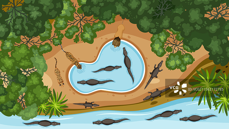 动物们聚集在丛林水坑周围图片素材