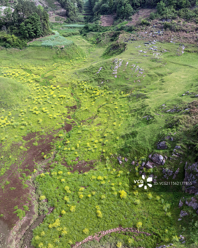 湖北恩施鳝孔坝湿地花海成市民露营新宠图片素材