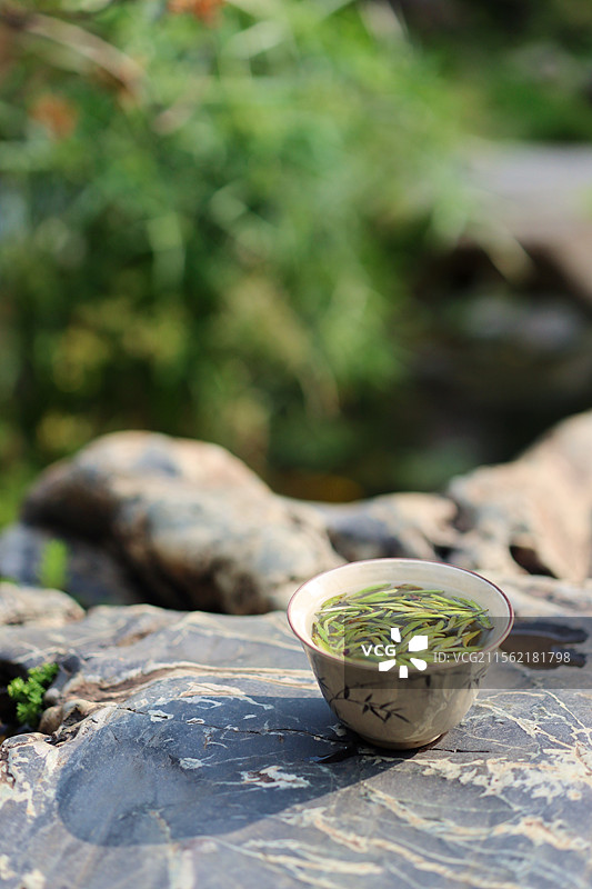 春味之白毫银针图片素材