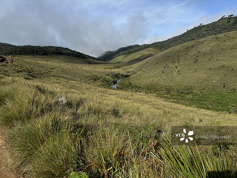 斯里兰卡霍顿平原图片素材