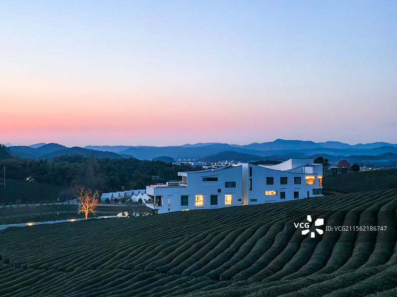 茶园日落图片素材