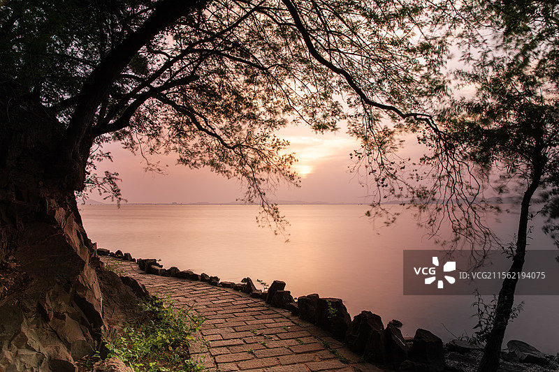 太湖之畔，夕阳中的林间小径图片素材