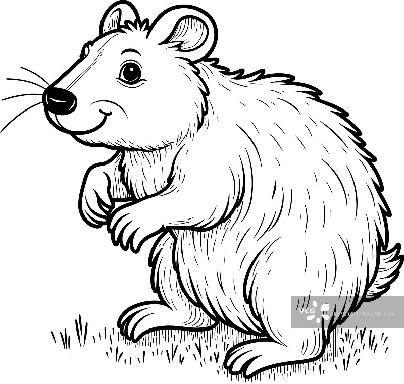 袋熊线条艺术图片素材