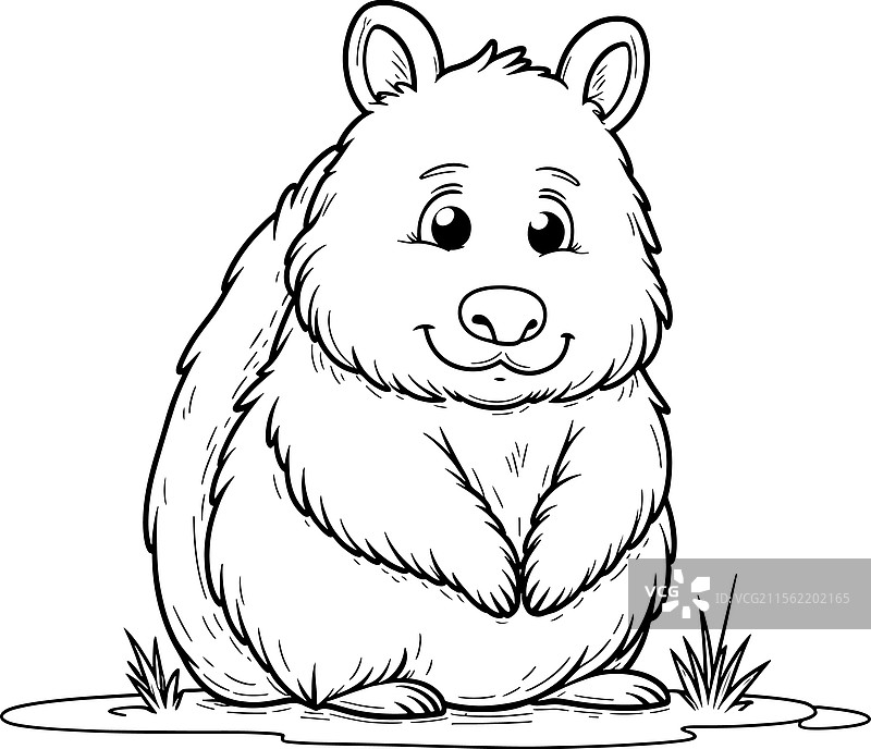 袋熊线条艺术图片素材