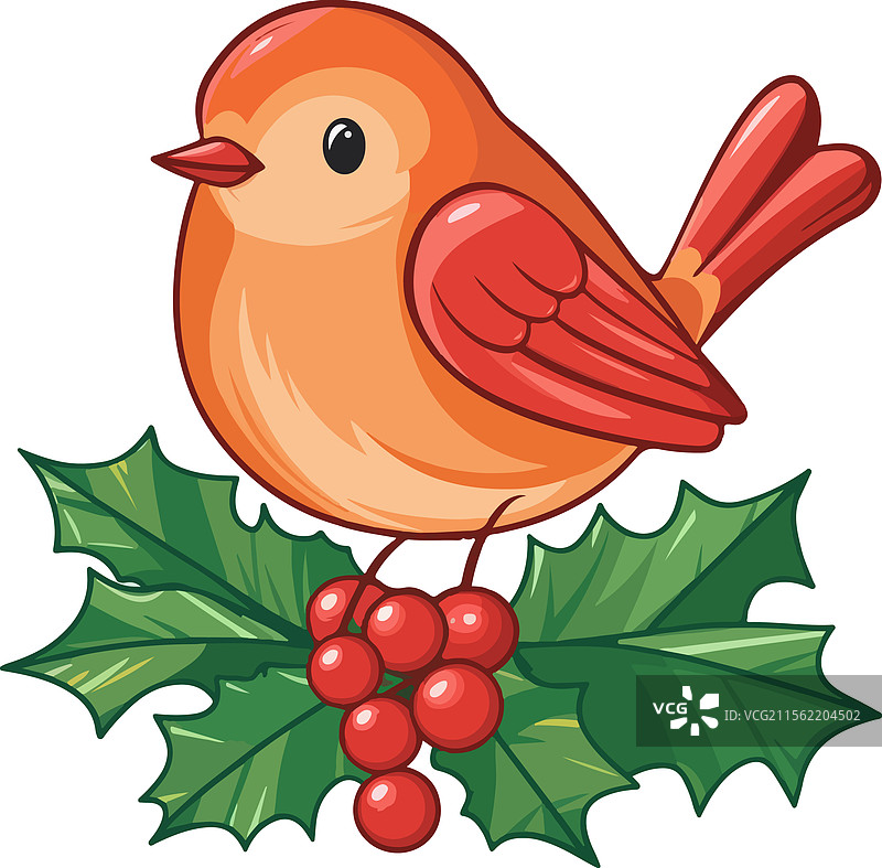 节日气氛中的圣诞鸟，红胸鸟栖息在冬青枝上图片素材