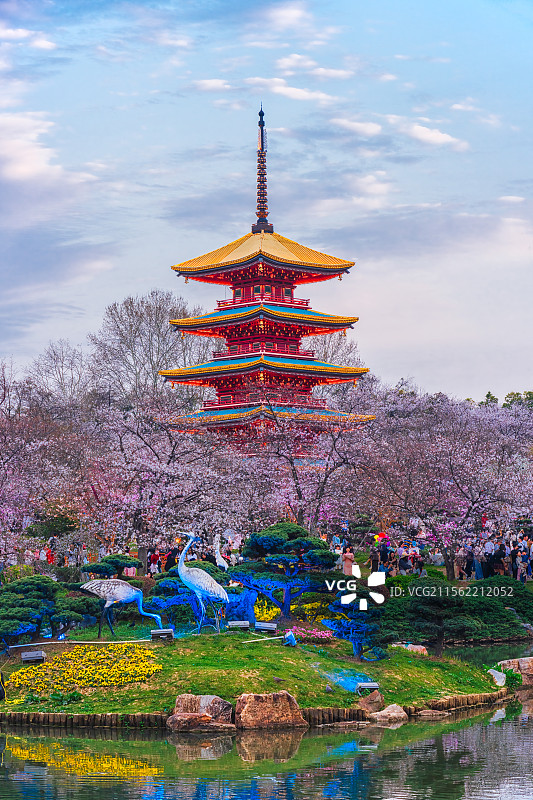 湖北省武汉市武昌区东湖公园五重塔春季樱花风光图片素材