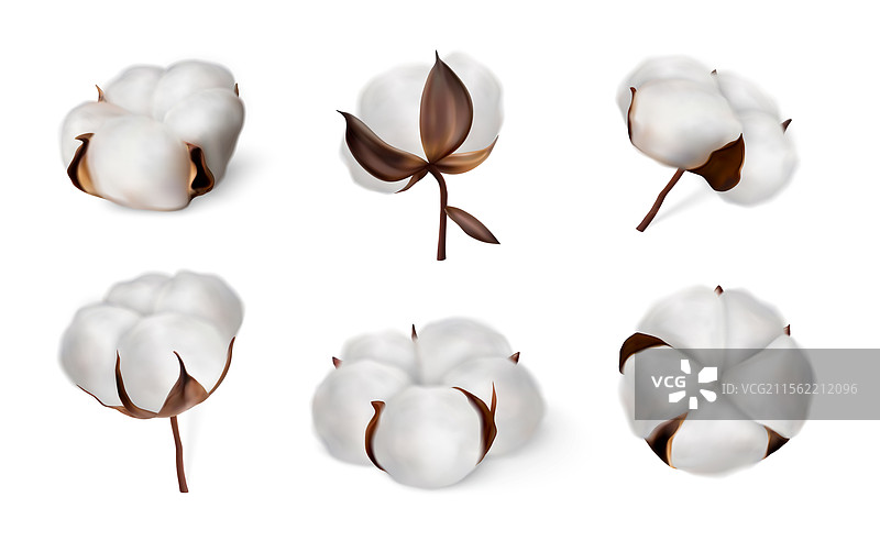 棉花柔软植物球的不同角度图片素材