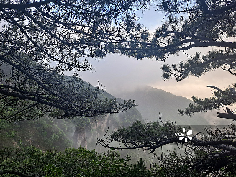 武功山云海图片素材
