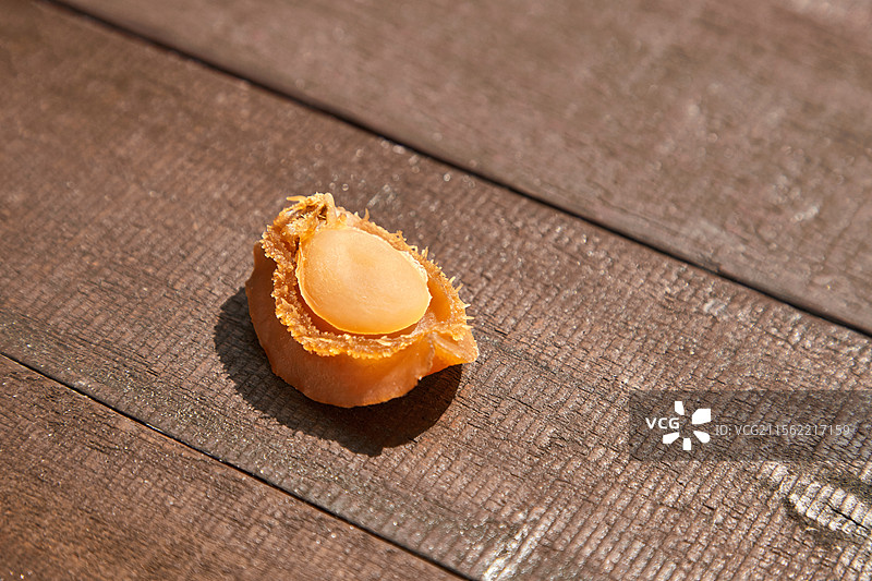 日晒下的鲍鱼干图片素材