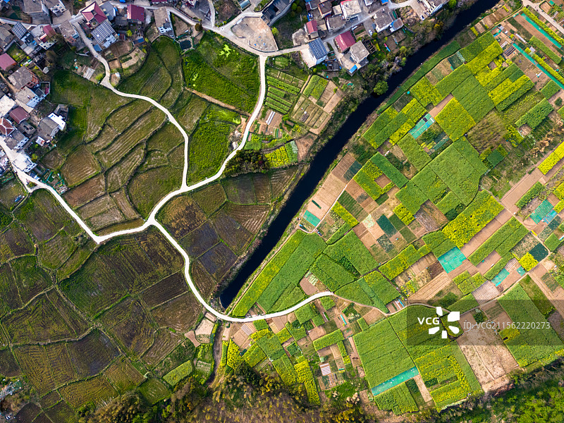 安徽省池州市东至县油菜花田野河流村庄春景航拍图片素材