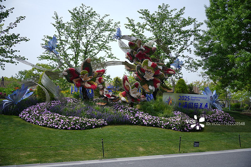 2025上海国际花展-上海植物园站图片素材