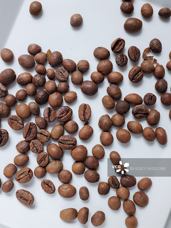 咖啡豆种Ecurobusta图片素材