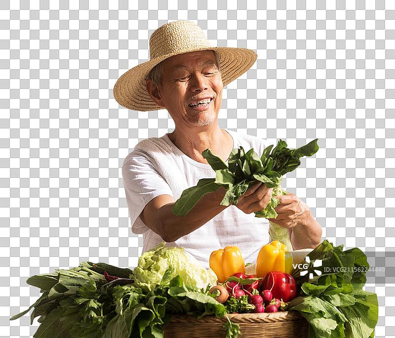 菜农拿着蔬菜图片素材