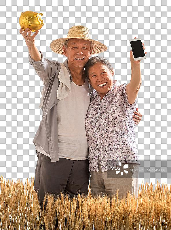 老年夫妇在麦田图片素材