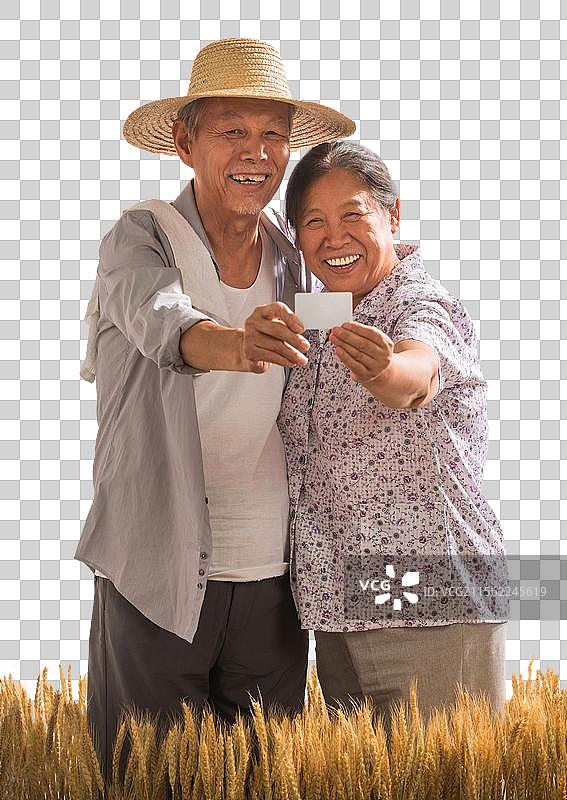 老年夫妇在麦田图片素材