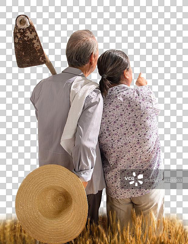 老年夫妇在麦田图片素材