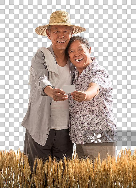 老年夫妇在麦田图片素材