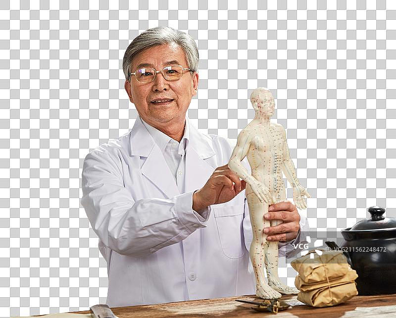 老中医拿着人体针灸穴位模型图片素材