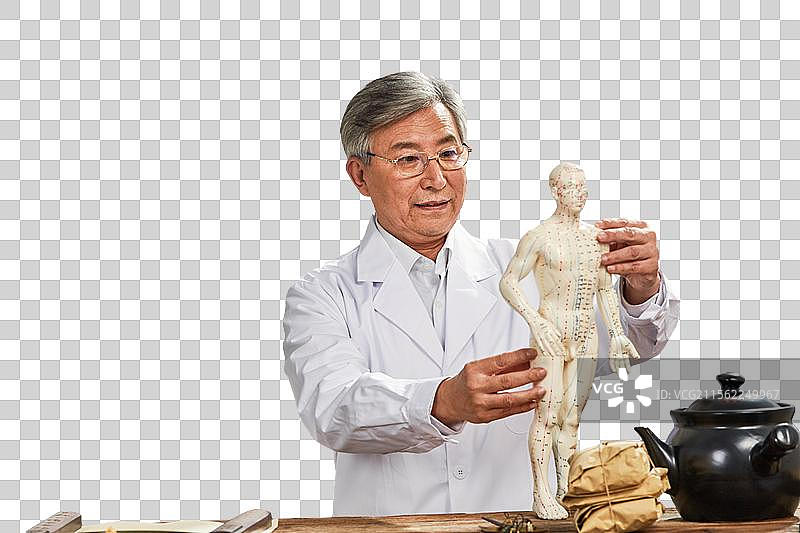 老中医研究人体针灸穴位模型图片素材