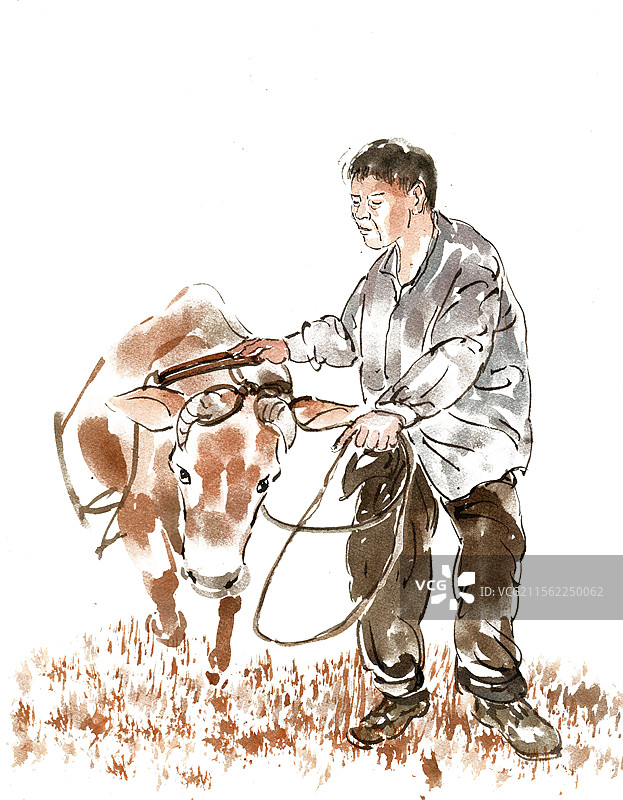 牵牛犁地的男子图片素材