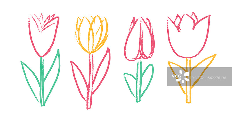 春天的郁金香和番红花蜡笔画系列图片素材