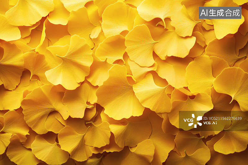 【AI数字艺术】秋天散落，堆积在一起的银杏图片素材