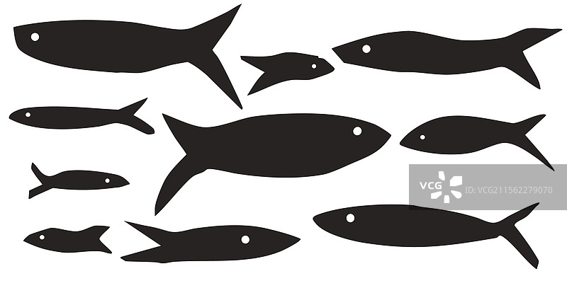 鱼类系列：沙丁鱼、鱼群、收藏、鲑鱼图片素材