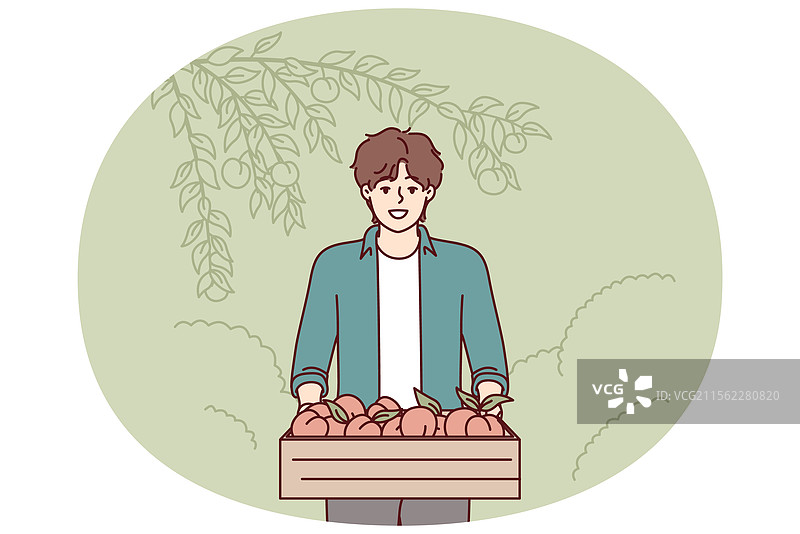 农民手持装有桃子的木箱站在田间图片素材