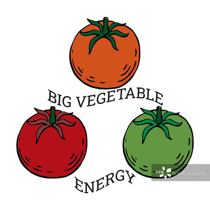 番茄的蔬菜能量设计图片素材