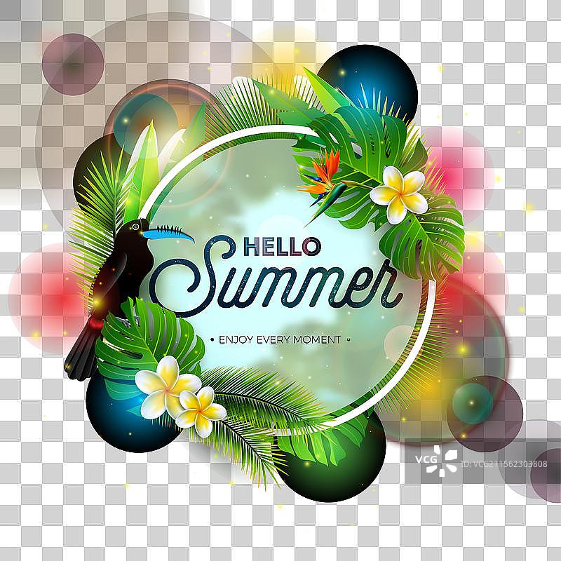 热带夏季假期设计与巨嘴鸟图片素材