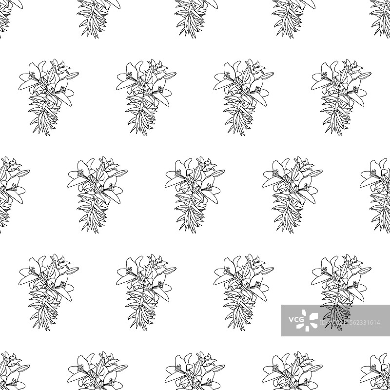 百合花图案 220125-21图片素材