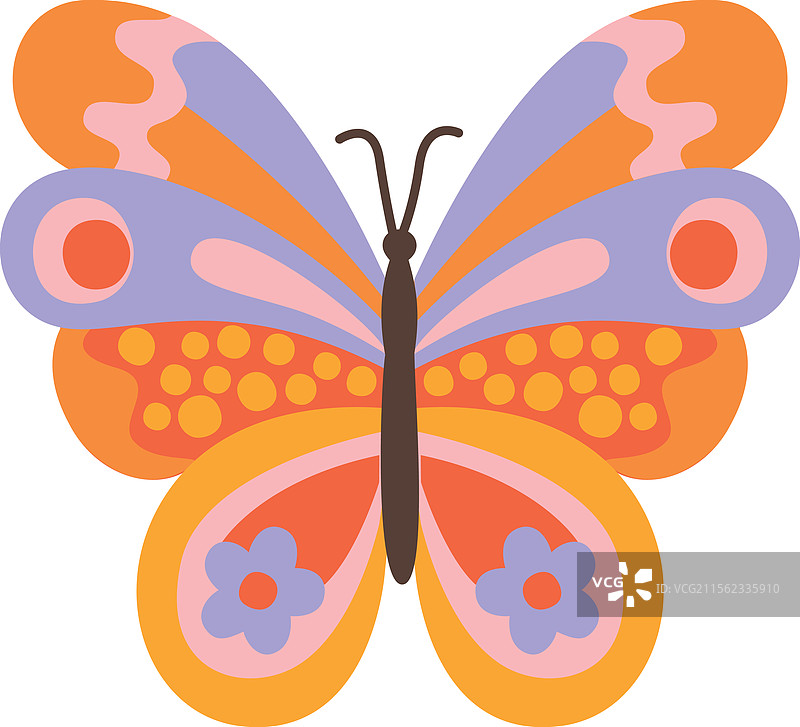 色彩斑斓的装饰蝴蝶图片素材