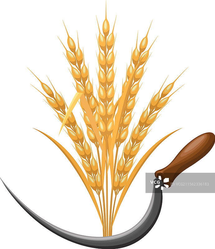 镰刀和麦穗图片素材