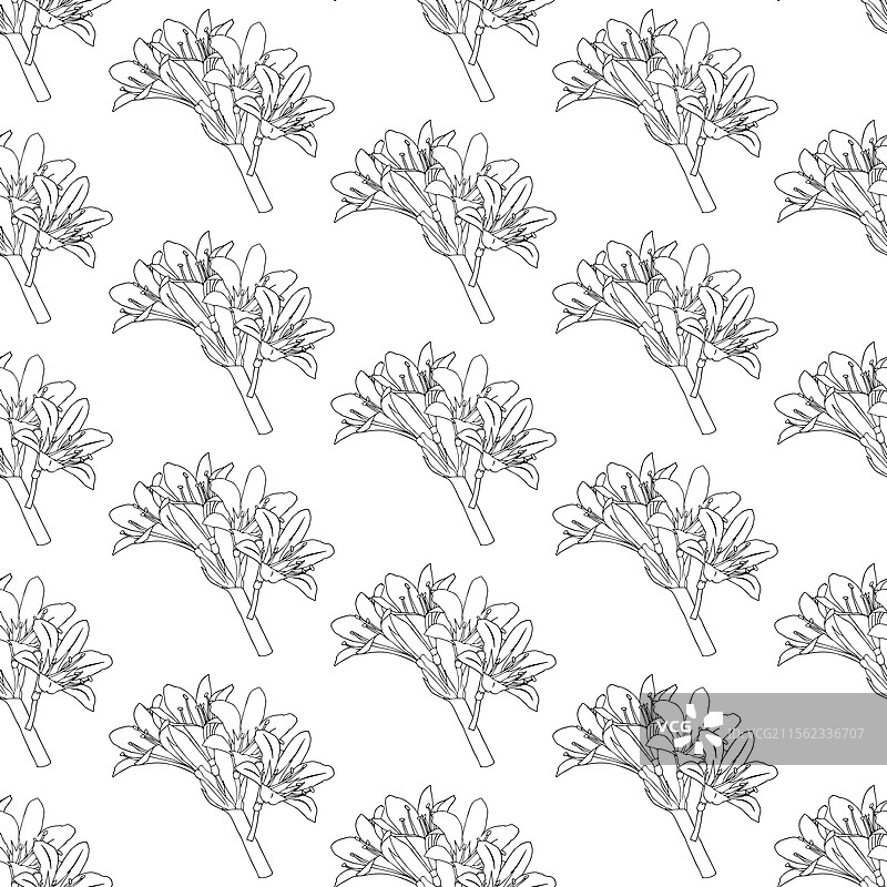 百合花图案 220125-40图片素材