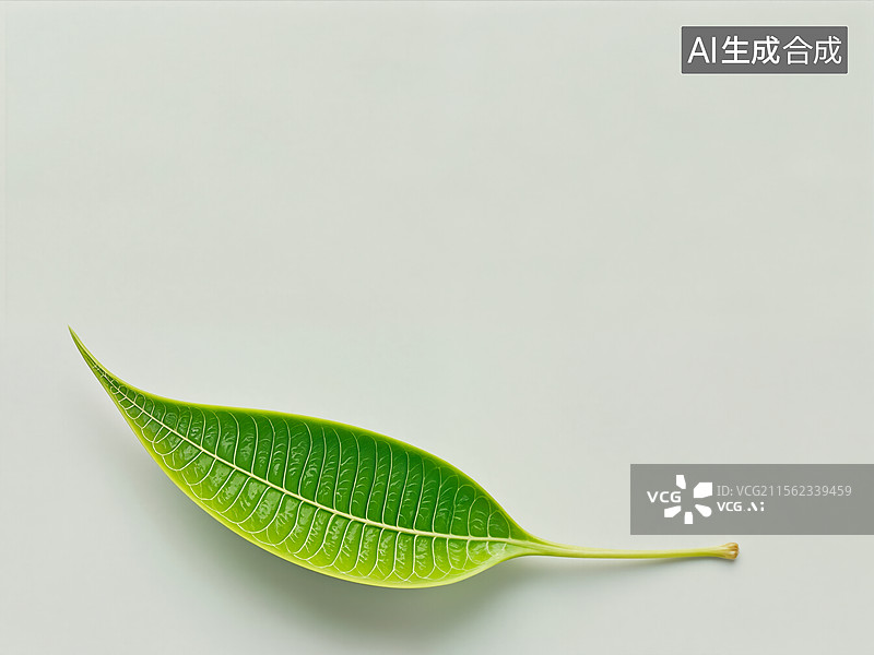 【AI数字艺术】绿叶静思图片素材