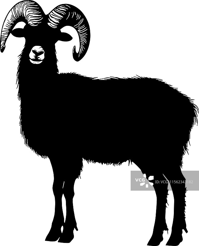 大角羊剪影图片素材